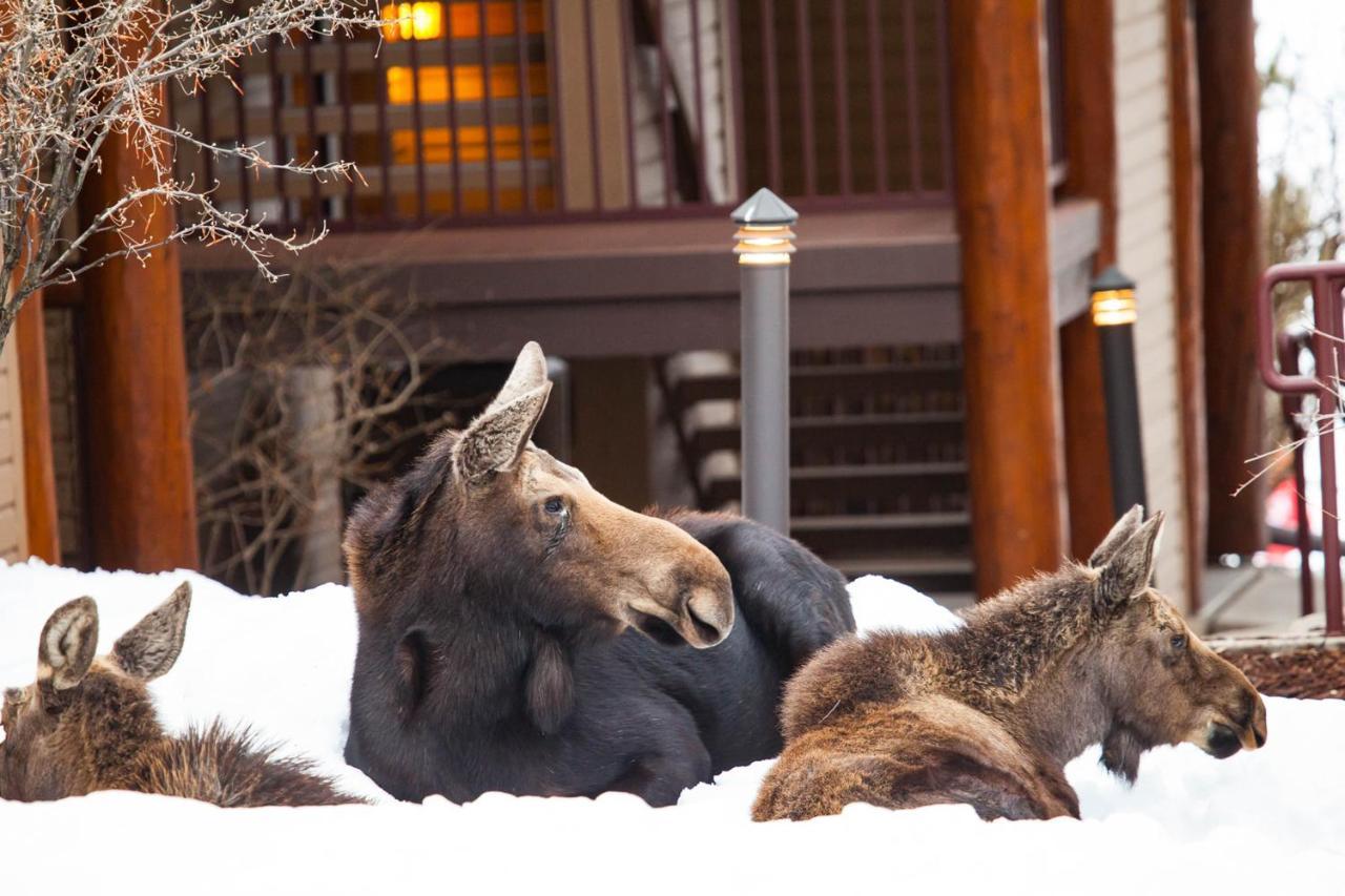 Willa Antlers Steamboat Springs Zewnętrze zdjęcie